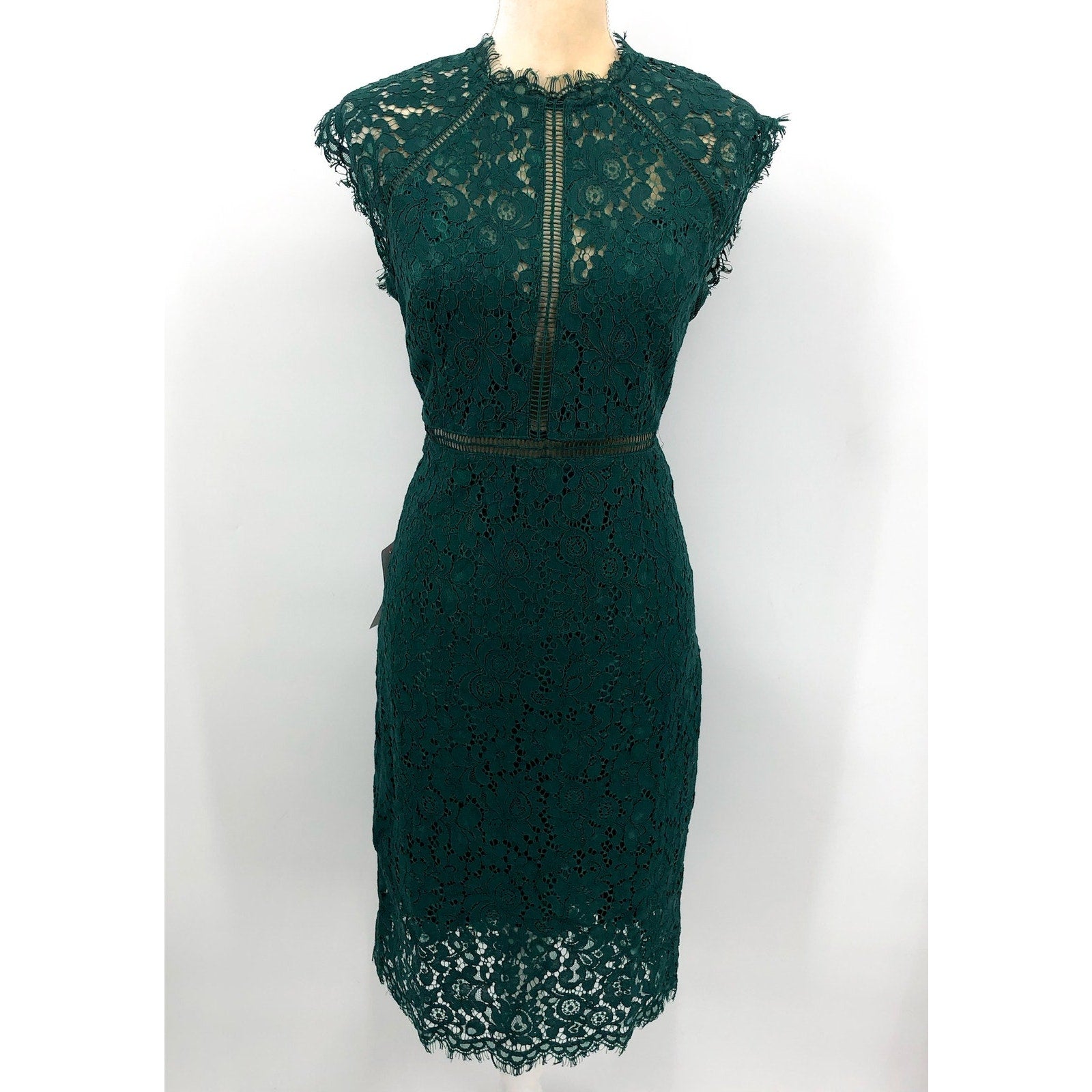 BARDOT Women's Lace Panel Dress Size 8 Large Forest Green Sleeveless NWT
