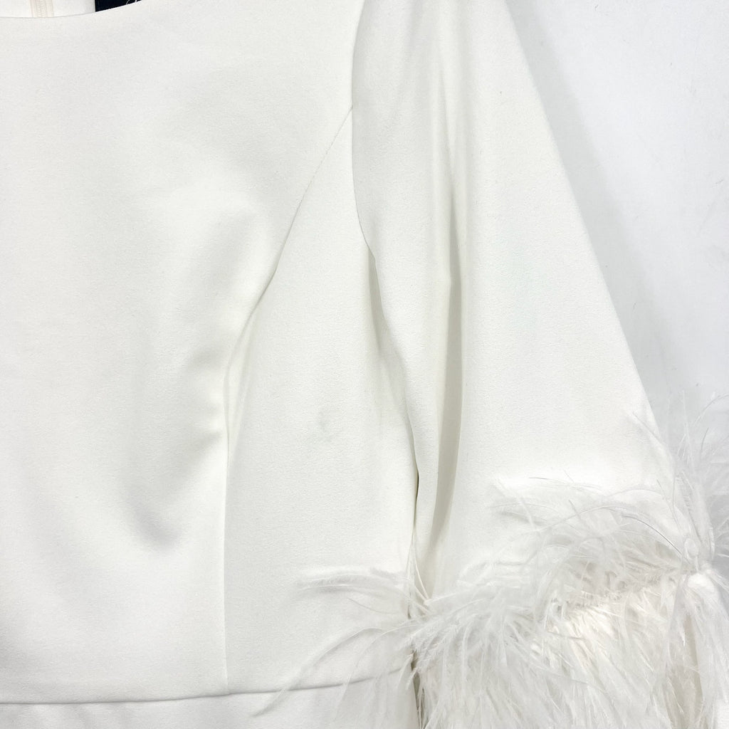 ADRIANNA PAPELL Women's Stretch Crepe Feather Dress Size 4 Ivory Boatneck NWT