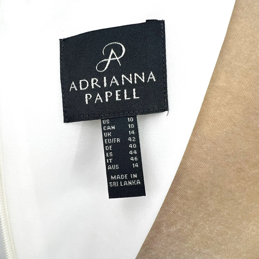ADRIANNA PAPELL Women's Crepe Ribbon Dress Size 10 Ivory Black Knee Length NWT