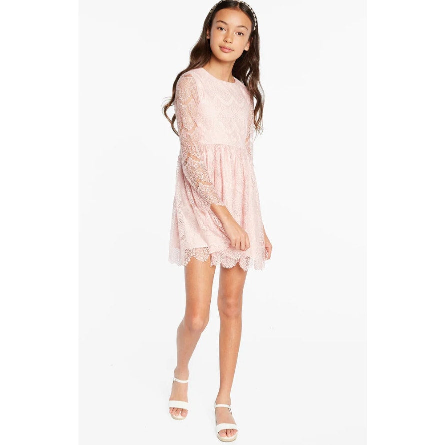 BARDOT JUNIOR Girl Gertrude Lace Dress Size 16 Pink Potpourri Long Sleeve NWT