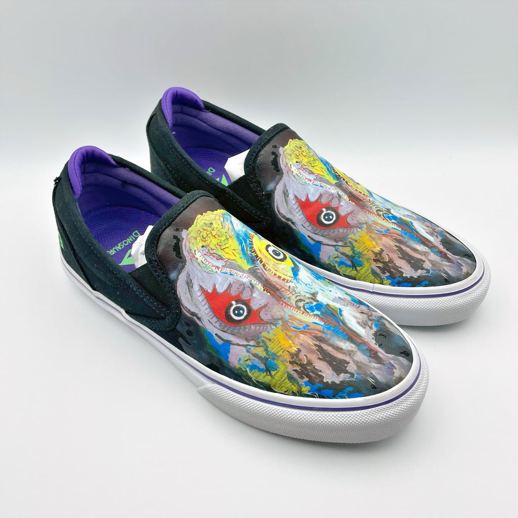 Emerica x Dinosaur Jr Mens Wino Slip-On Shoes Size 8 Black Multicolor Sweep NIB