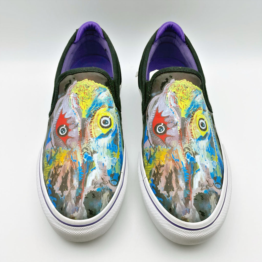 Emerica x Dinosaur Jr Mens Wino Slip-On Shoes Size 8 Black Multicolor Sweep NIB