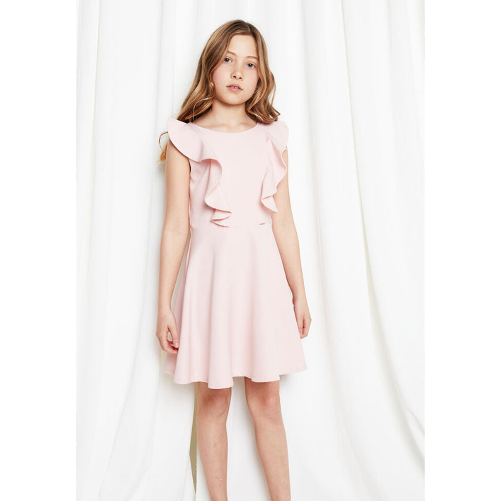 BARDOT JUNIOR Girl's Riley Ruffle Dress Size 16 Purple Gray Lilac Sleeveless NWT