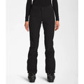 THE NORTH FACE Women's Apex STH Snow Pants Small TNF Black Waterproof NWT