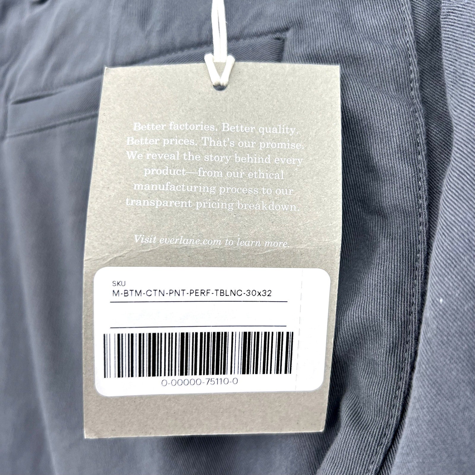 EVERLANE Men's The Performance Chino 30x32 Slate Blue Uniform Slim Fit Pants NWT
