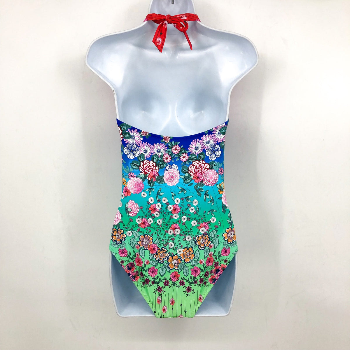 JOHNNY WAS Women's Rainbow One Piece Swimsuit Small Twist Keyhole Floral NWT