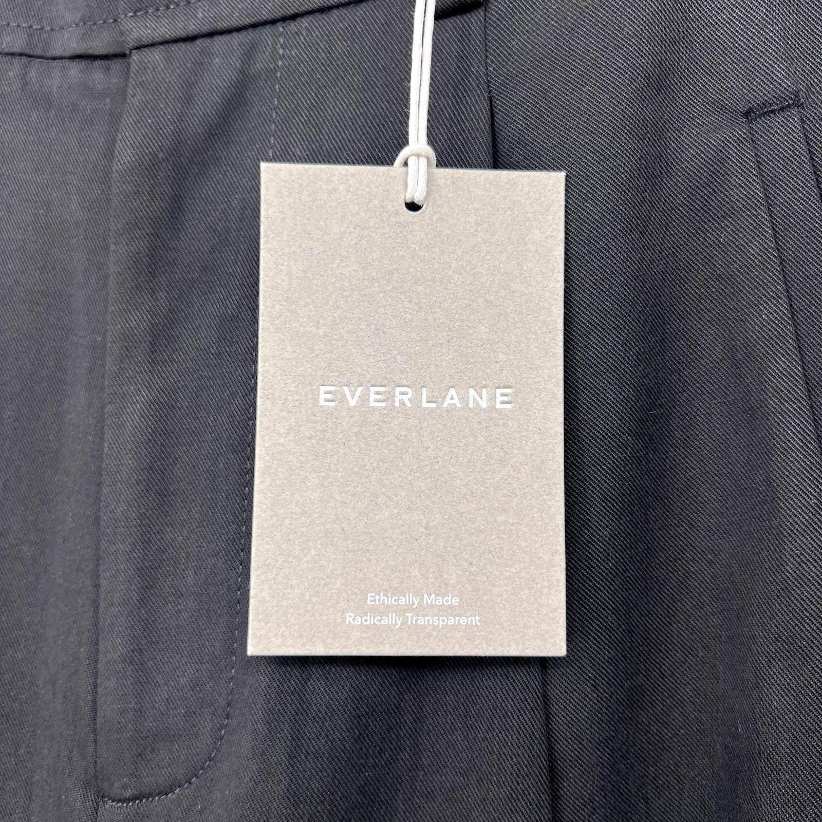 Everlane Womens The Way-High Drape Pant Size 2 Black 31" Inseam Pleated NWT