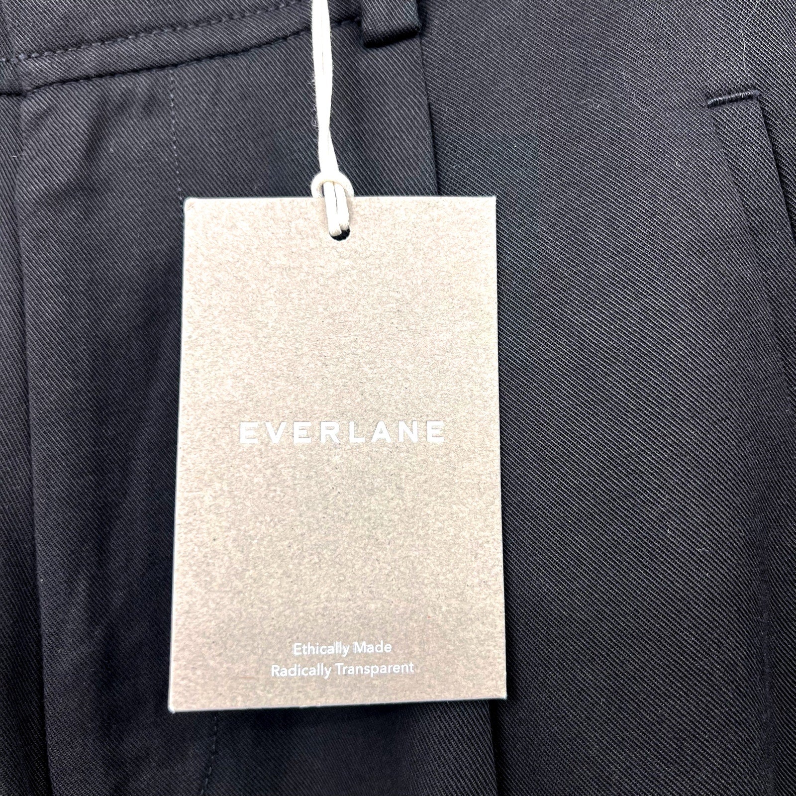 Everlane Womens The Way-High Drape Pants Sz 4 30" Inseam Pleated Black NWT