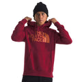 THE NORTH FACE Men Half Dome Hoodie Medium Red Beetroot Sweatshirt NWT