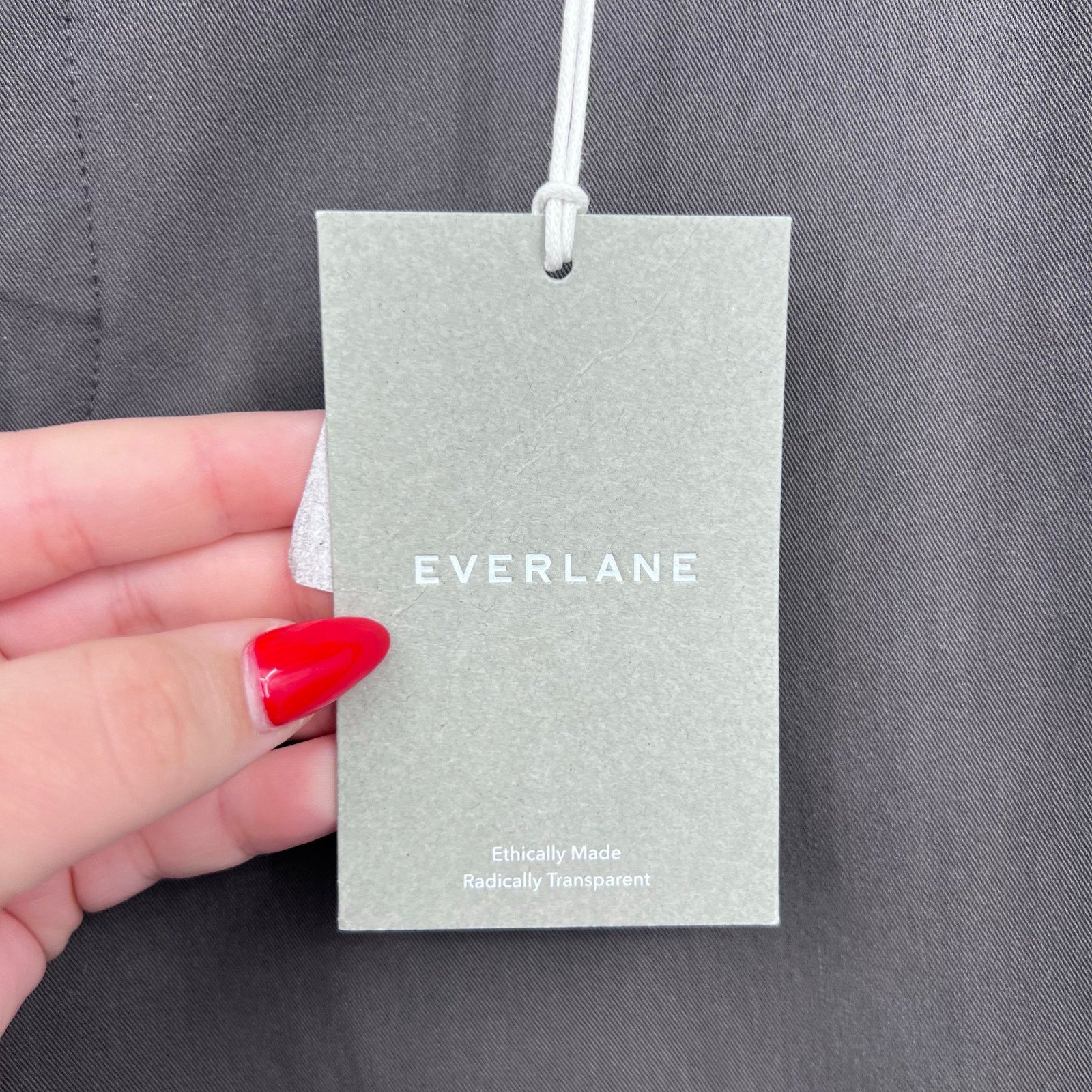 Everlane Mens Performance Chino Pants 31x30 Slate Grey Athletic Straight Leg NWT