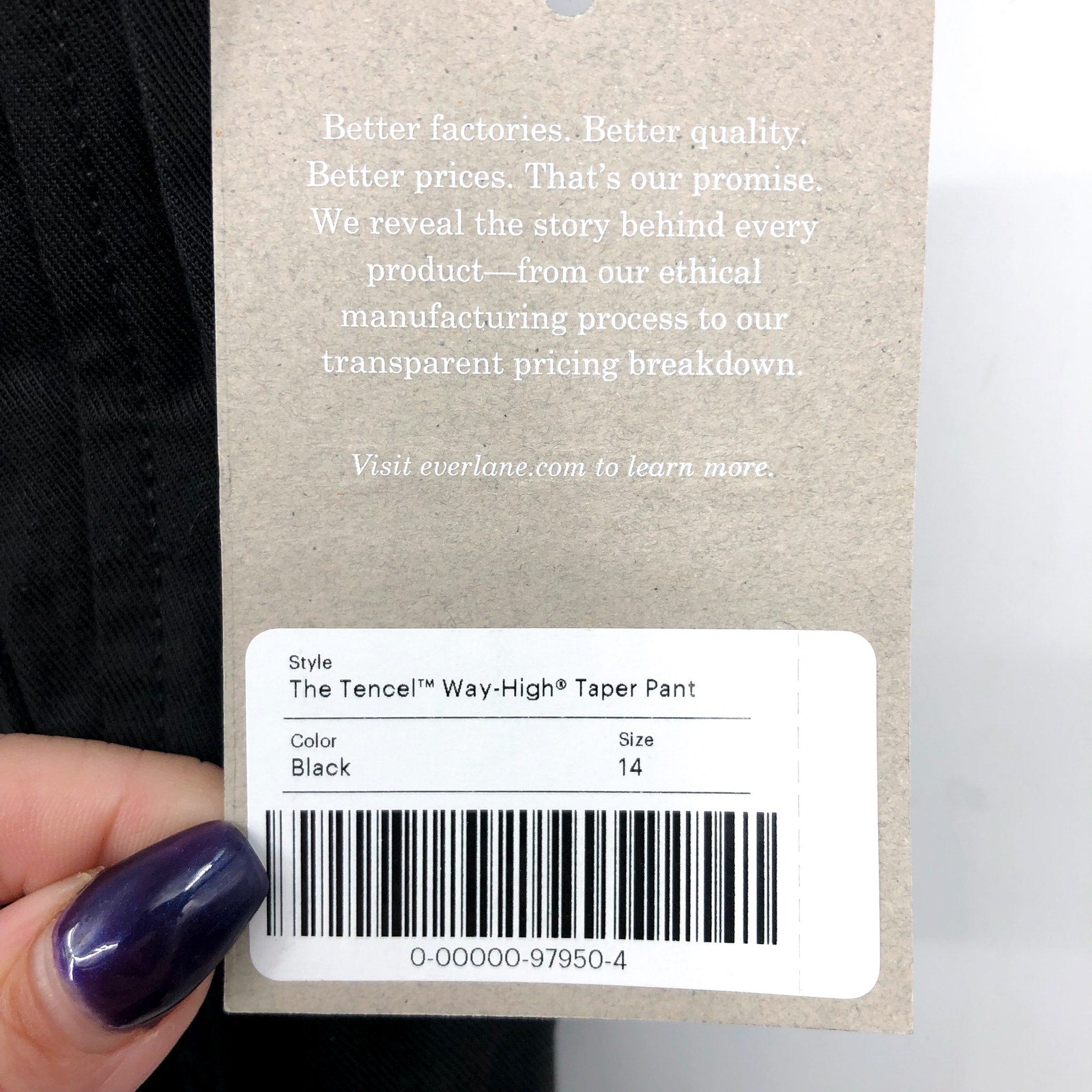 EVERLANE Women's The Way High Draper Tapered Pants Size 14 Black Tencel NWT