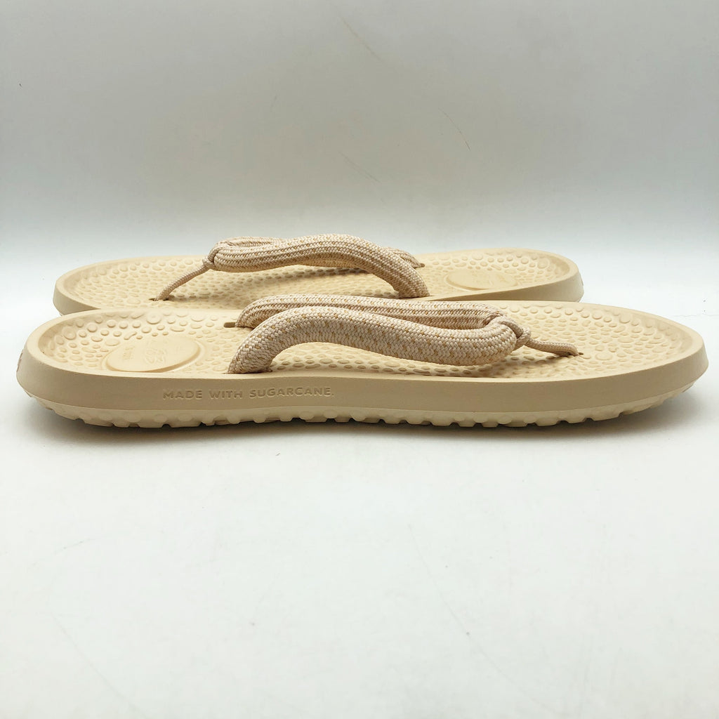 Allbirds Sugar Zeffer 2 Sandals Mens 11 Womens 13 Beige Flip Flops NWT