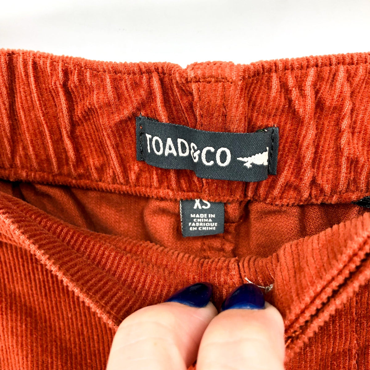 TOAD&CO Women's Scouter Cord Pleated Pants XS Red Orange Cinnamon Pull-On NWT