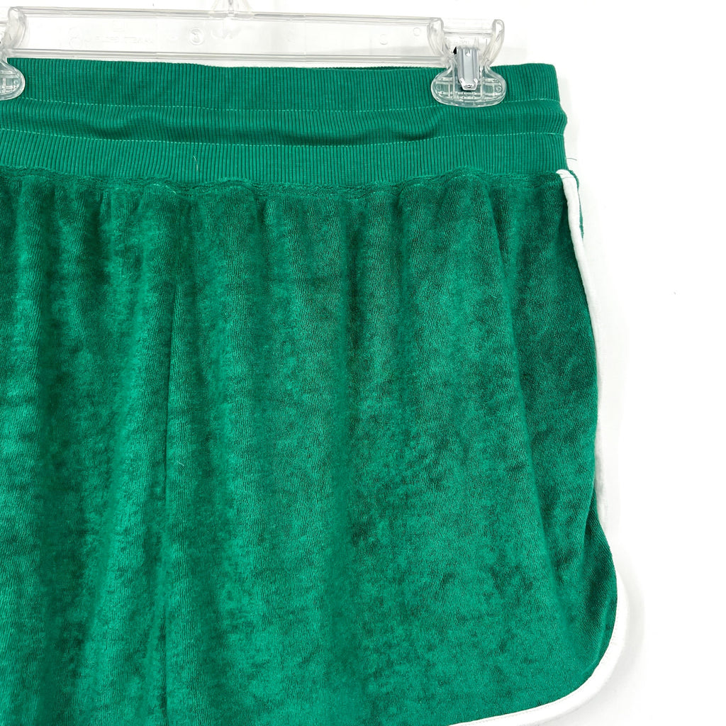 BEACH RIOT Women's Rynn Velour Shorts Large Forest Park Drawstring NWT
