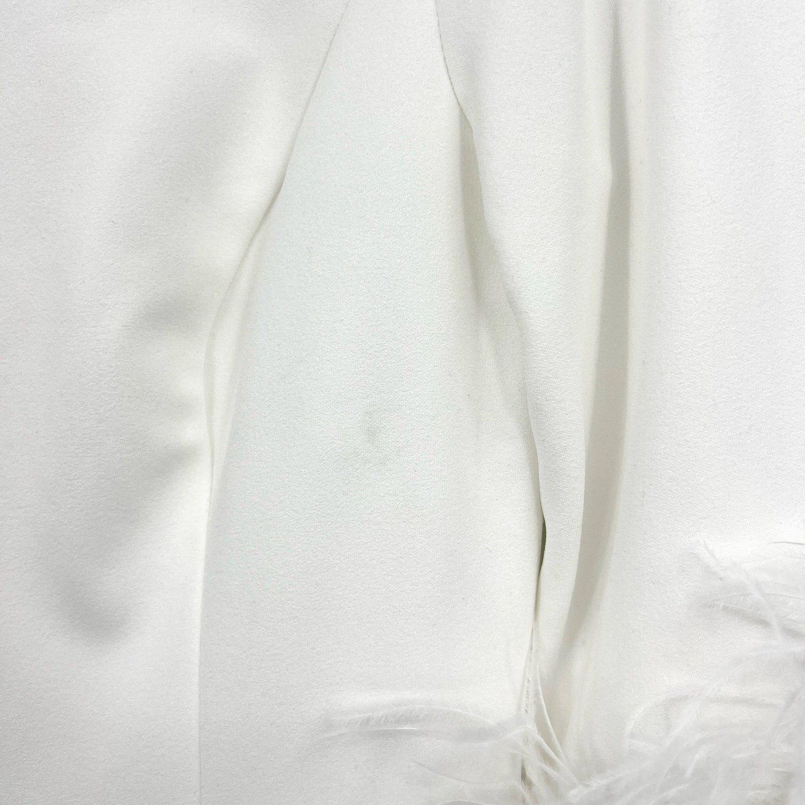 ADRIANNA PAPELL Women's Stretch Crepe Feather Dress Size 4 Ivory Boatneck NWT