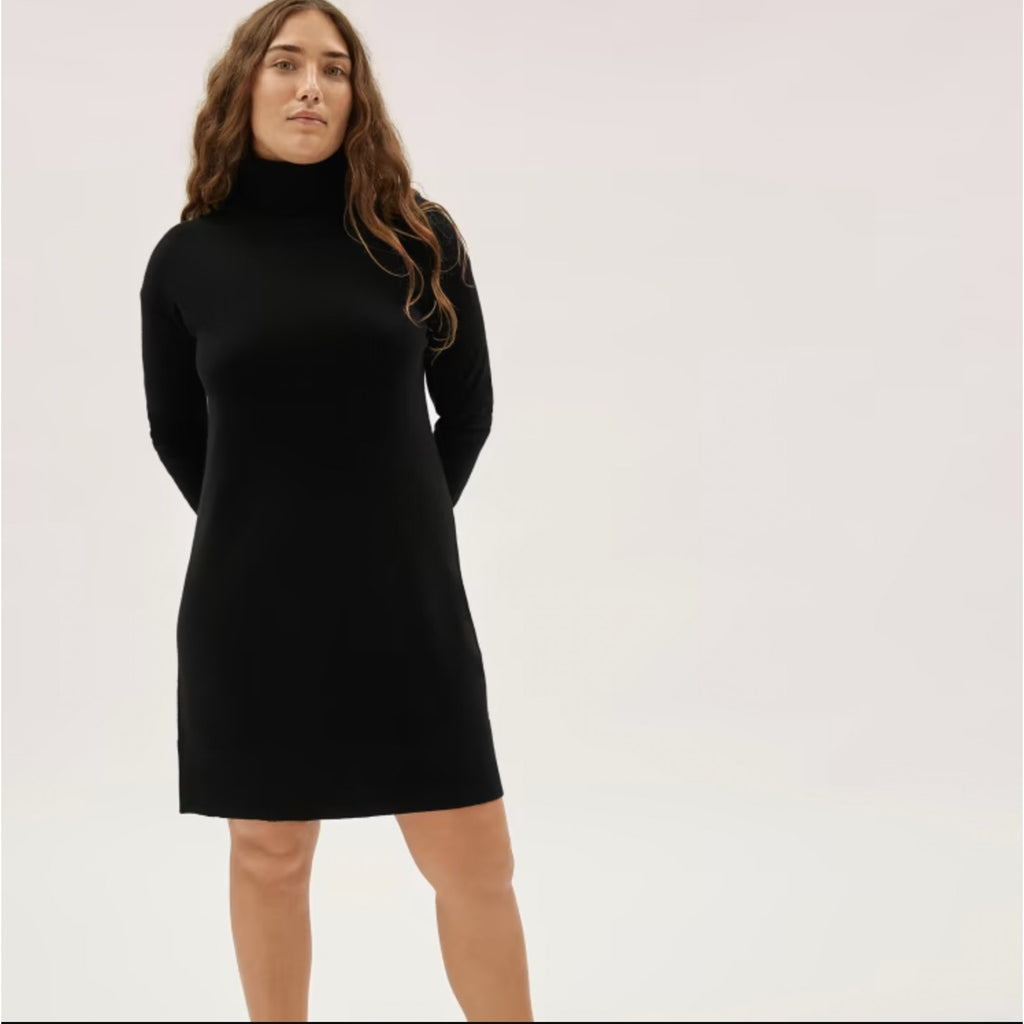 Everlane Womens The Cashmere Turtleneck Dress Large Black NWT
