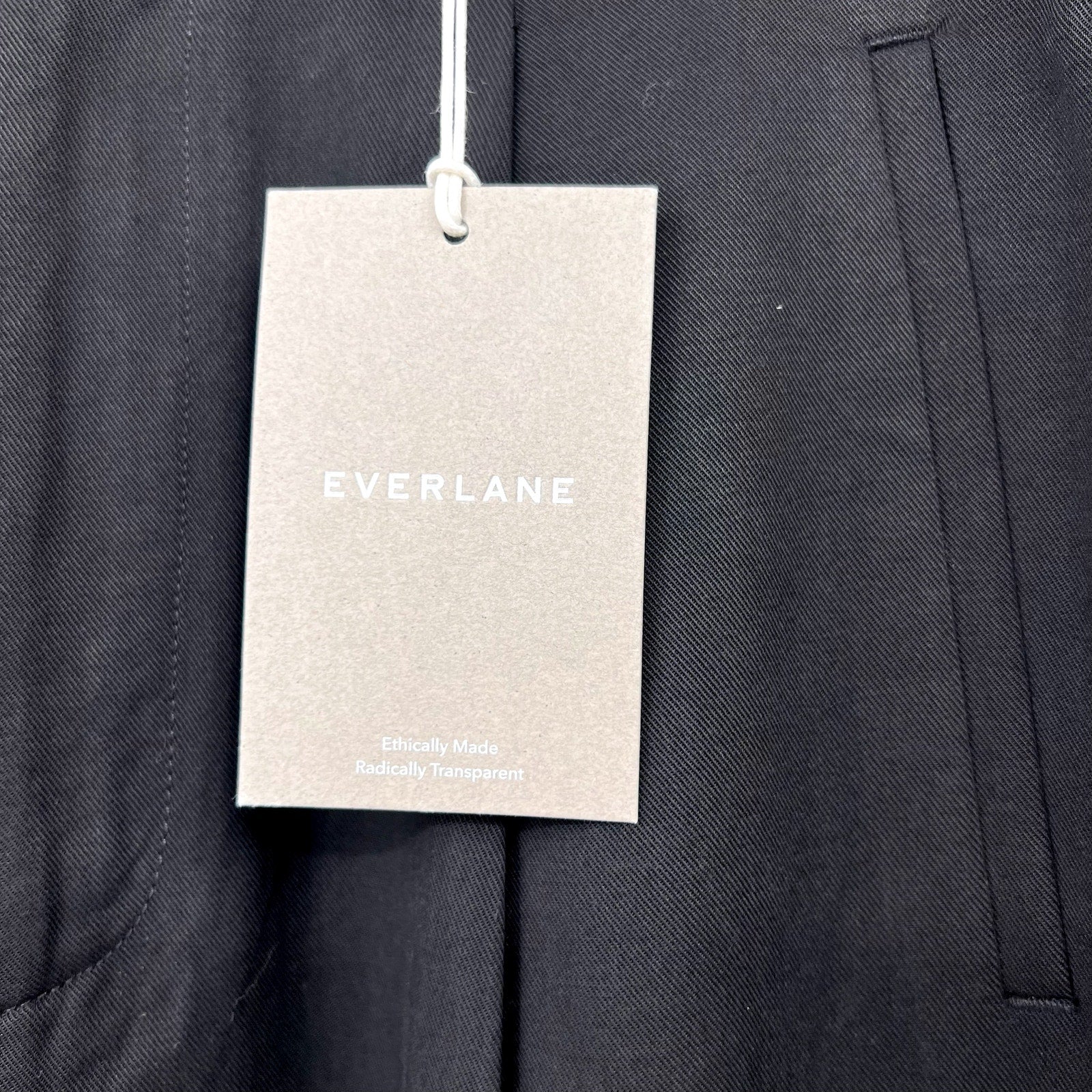 Everlane Womens The Way-High Drape Pant Size 8 Black 31" INSEAM Pleated NWT