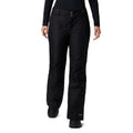 COLUMBIA Women's Bugaboo Snow Pants 1X Black Omni Heat Waterproof NWT