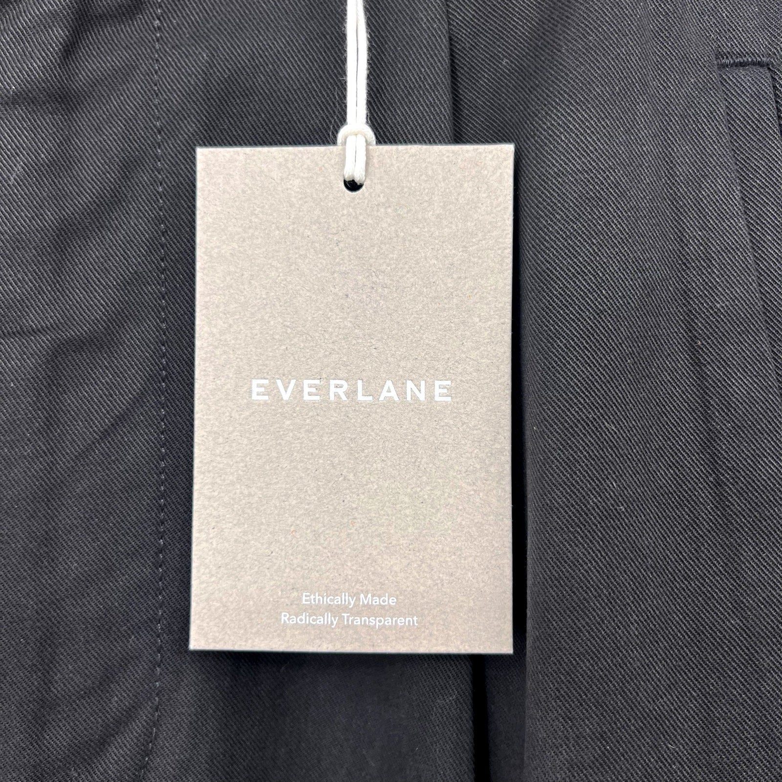 Everlane Womens The Way-High Drape Pants Size 8 30" Inseam Pleated Black NWT