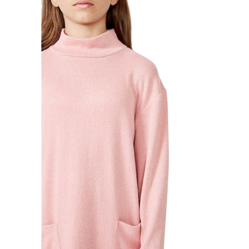 BARDOT JUNIOR Girl's Georgie Jersey Knit Dress XS Size 4-5 Pink Strawberry NWT