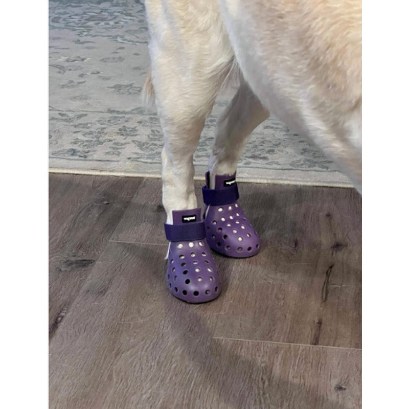 WAGWELLIES® Mojave Dot Perforated Weather Boots Medium Purple 30-50 LBS NIB