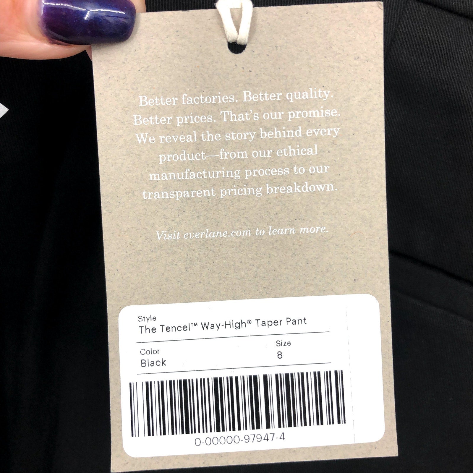 EVERLANE Women's The Way High Draper Tapered Pants Size 8 Black Tencel NWT