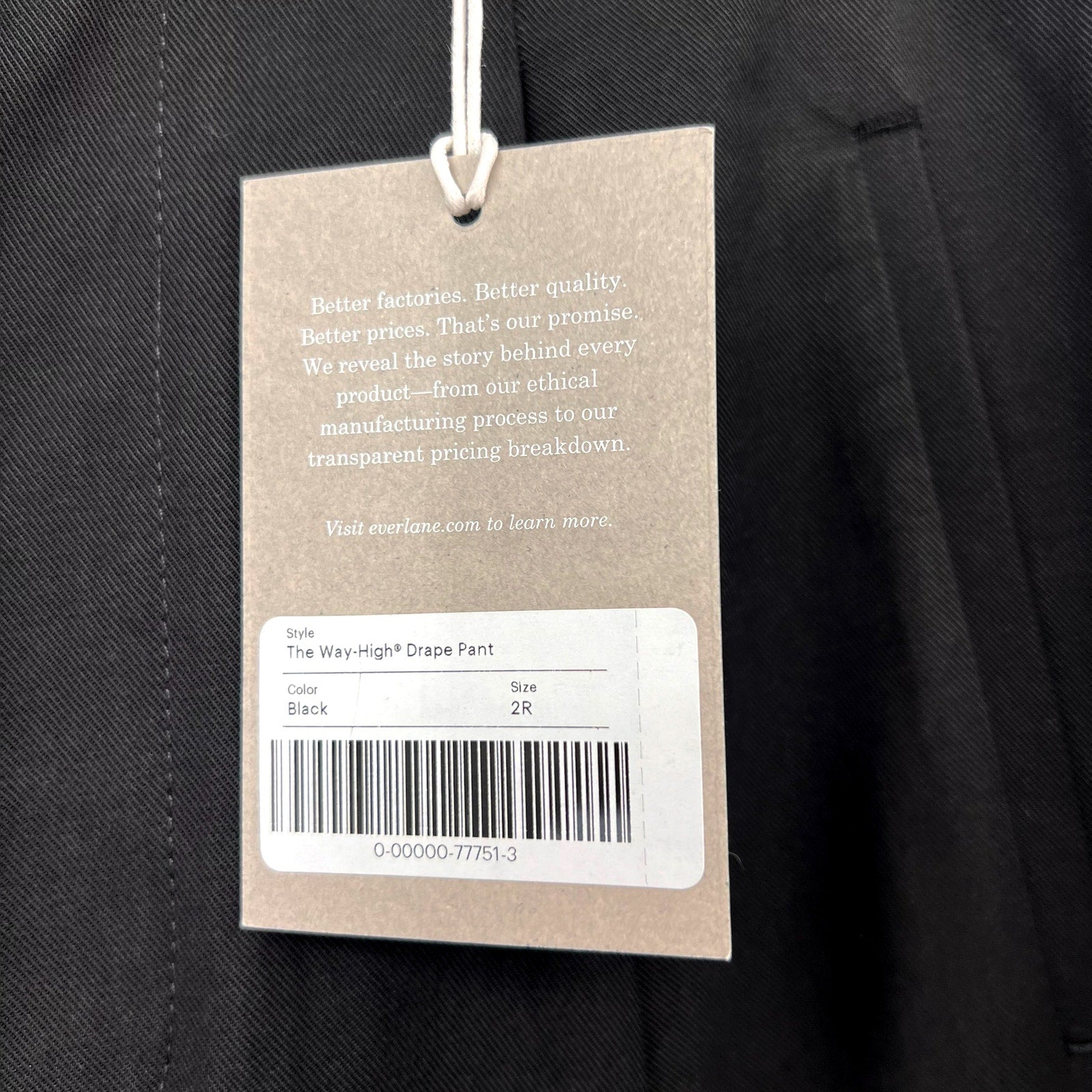 Everlane Womens The Way-High Drape Pant Size 2 Black 31" Inseam Pleated NWT