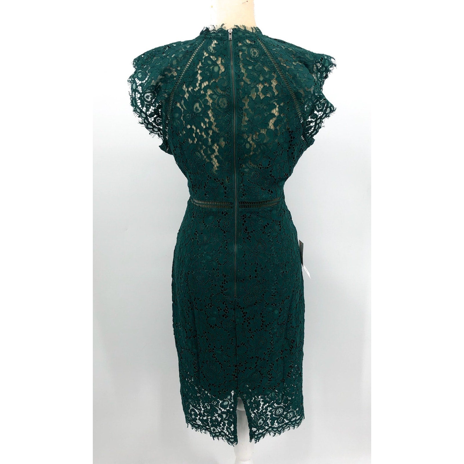 BARDOT Women's Lace Panel Dress Size 8 Large Forest Green Sleeveless NWT