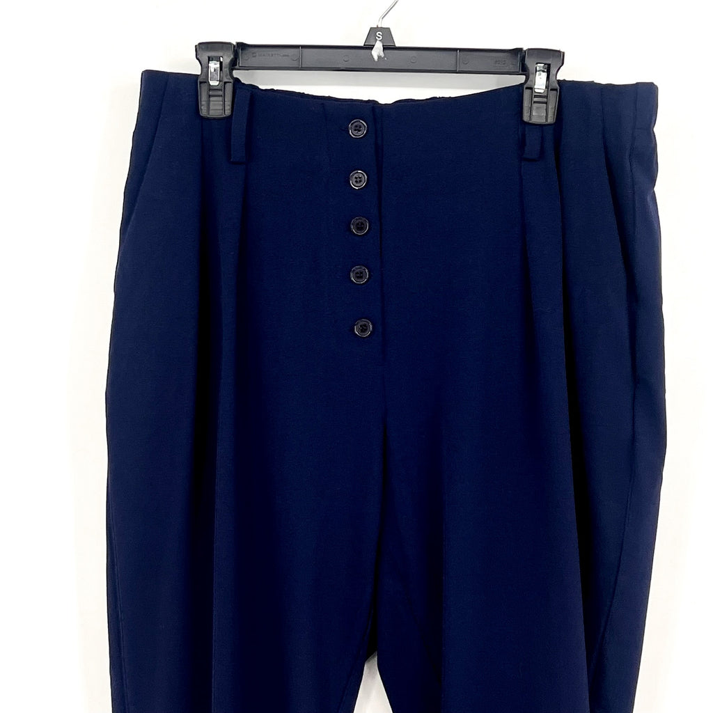STANDARDS & PRACTICE Francine Cropped Carrot Pants Size 14 Midnight Blue NWT
