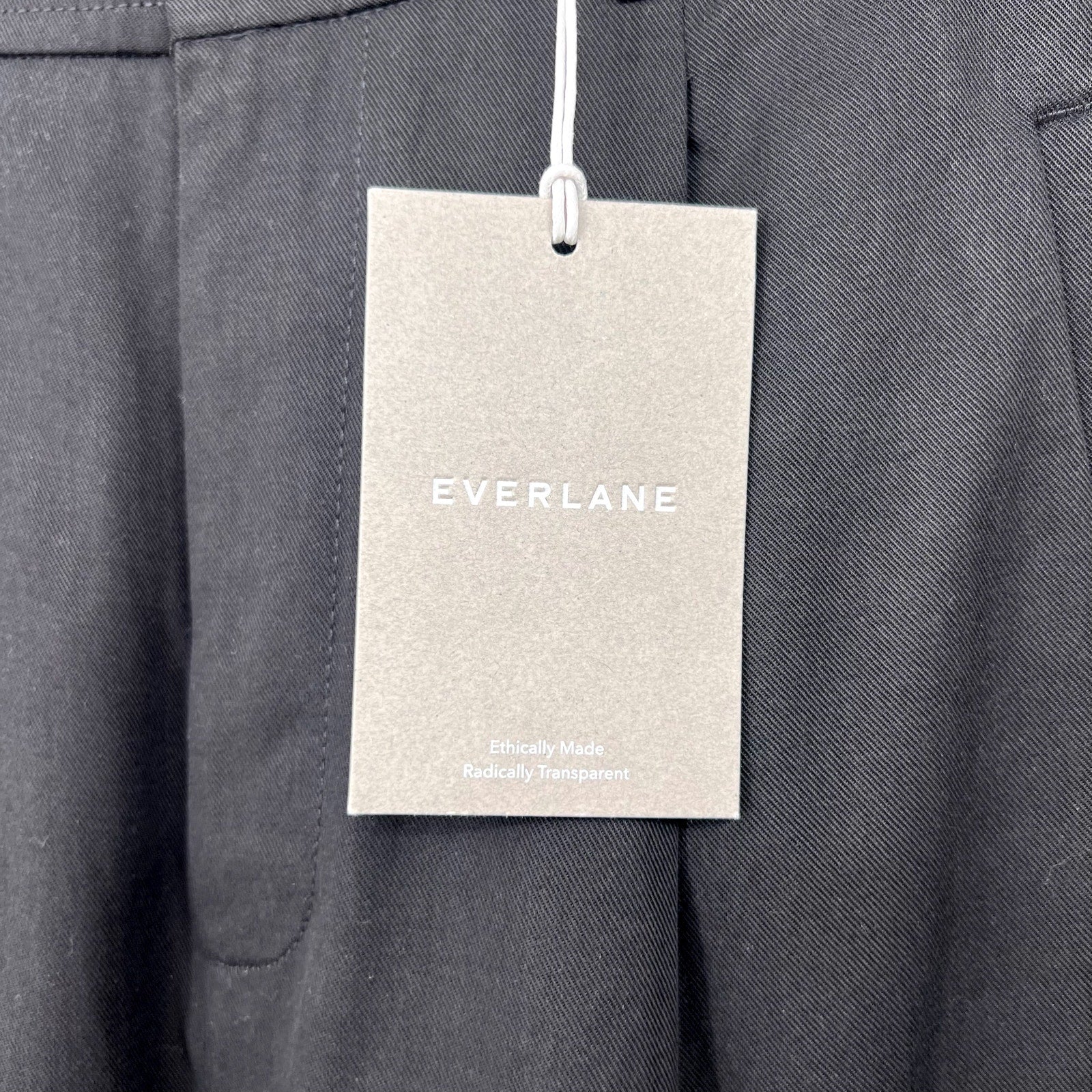 Everlane Womens The Way-High Drape Pants Size 6 Black 31" Inseam Pleated NWT