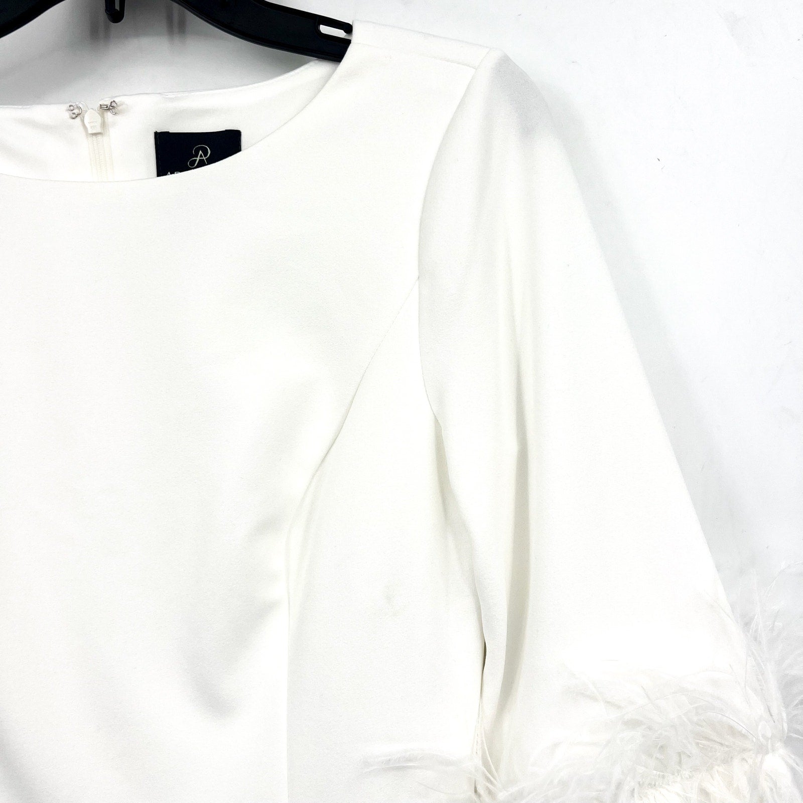 ADRIANNA PAPELL Women's Stretch Crepe Feather Dress Size 4 Ivory Boatneck NWT