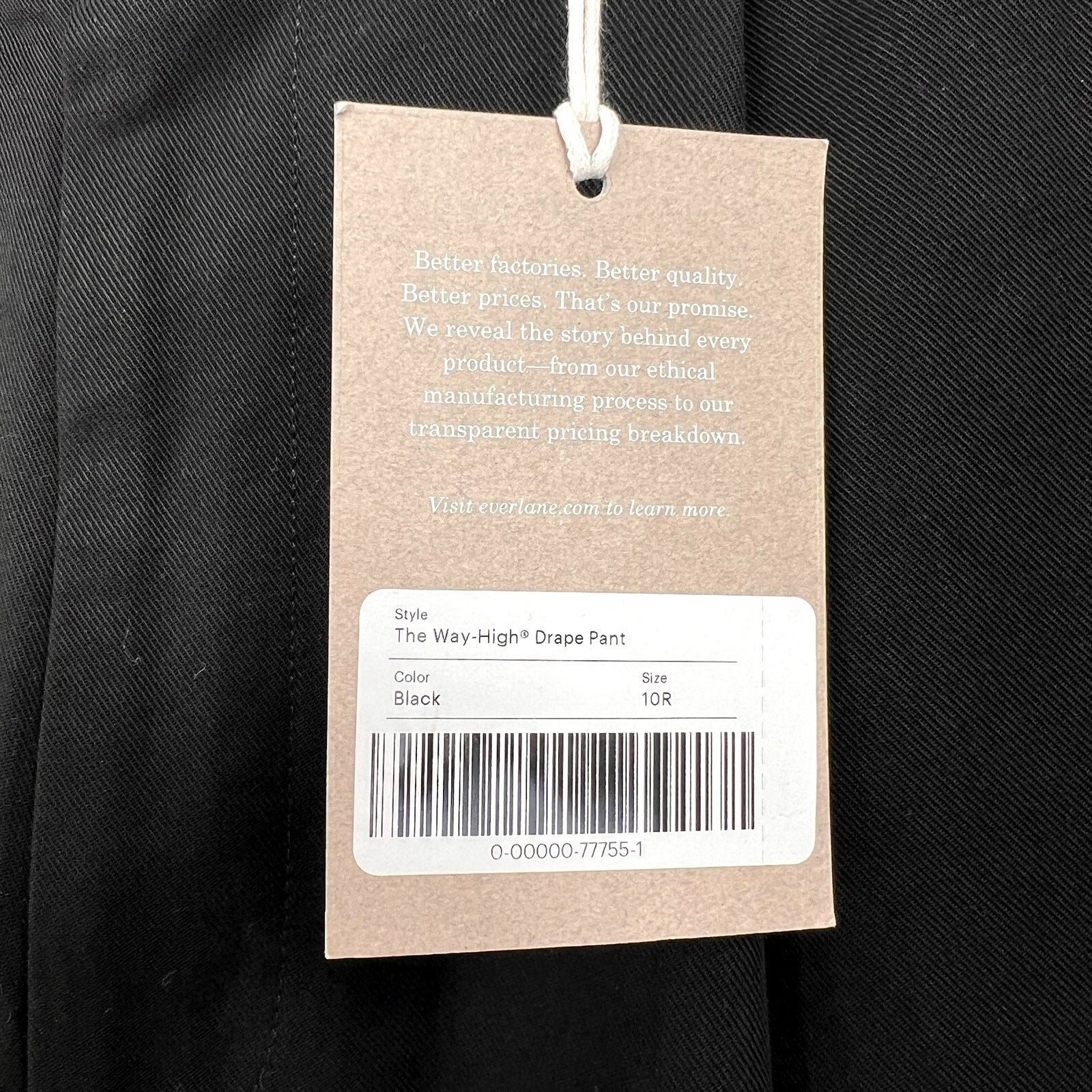 Everlane Womens The Way-High Drape Pants Size 10 Black 31" Inseam Pleated NWT