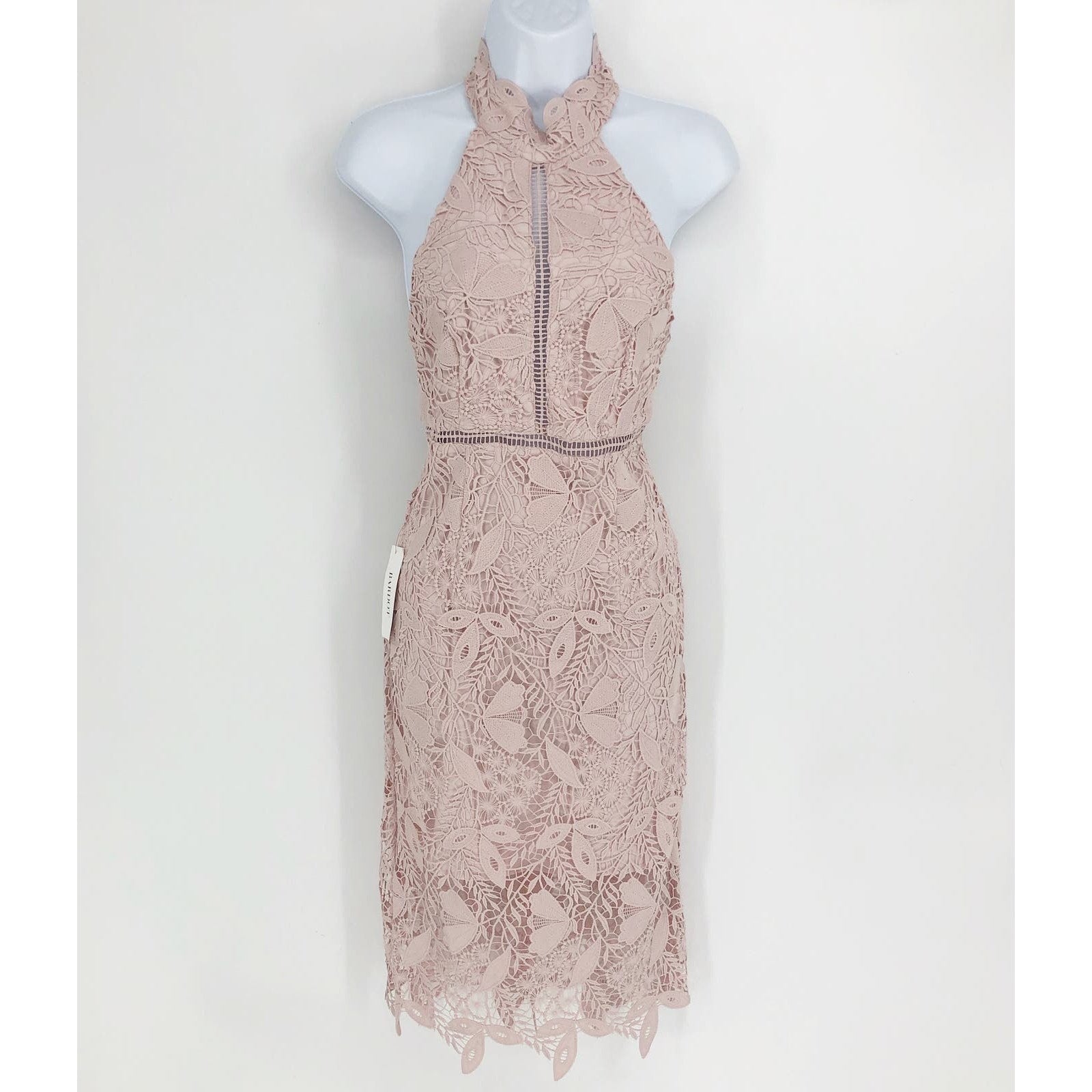BARDOT Women's Willow Sheath Dress Small Soft Pink Floral Lace Sleeveless NWT