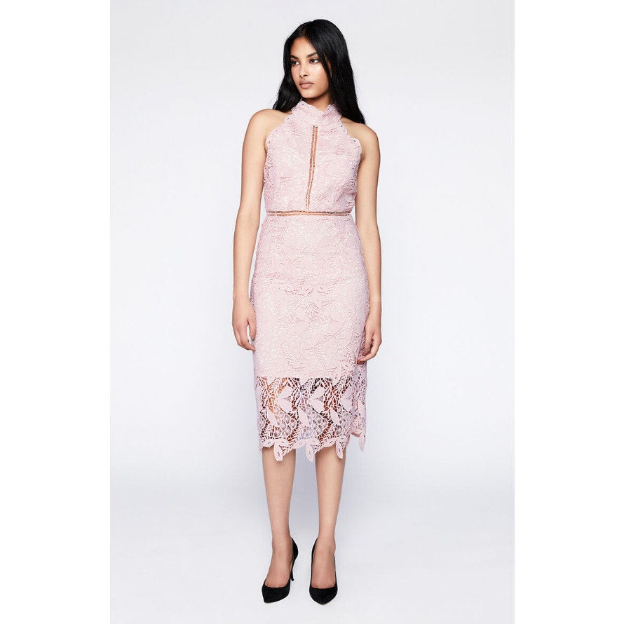 BARDOT Women's Willow Sheath Dress Small Soft Pink Floral Lace Sleeveless NWT