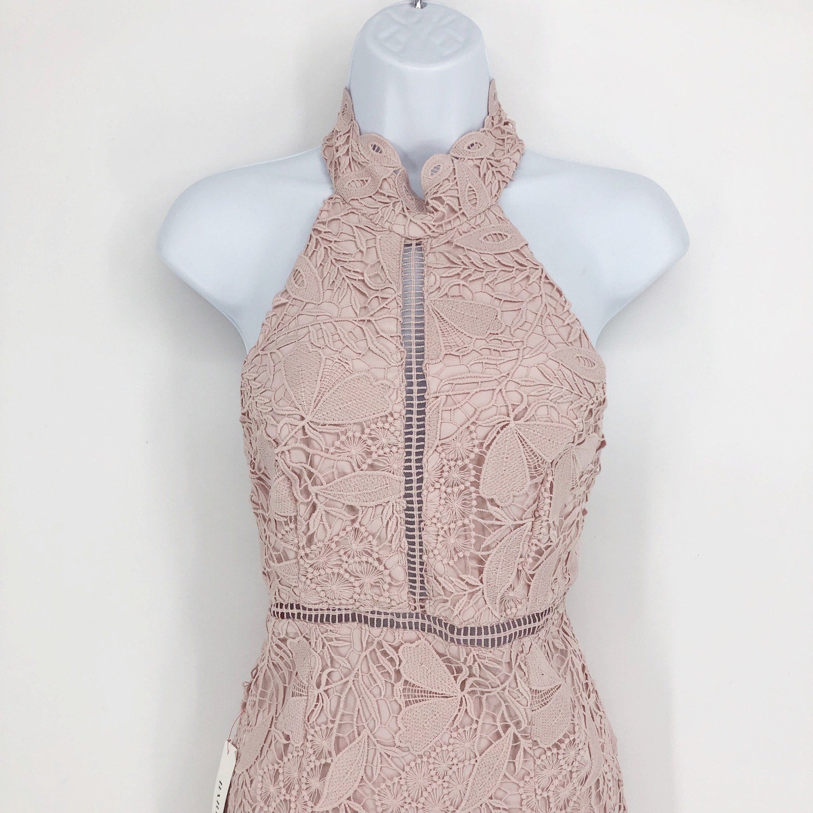 BARDOT Women's Willow Sheath Dress Small Soft Pink Floral Lace Sleeveless NWT